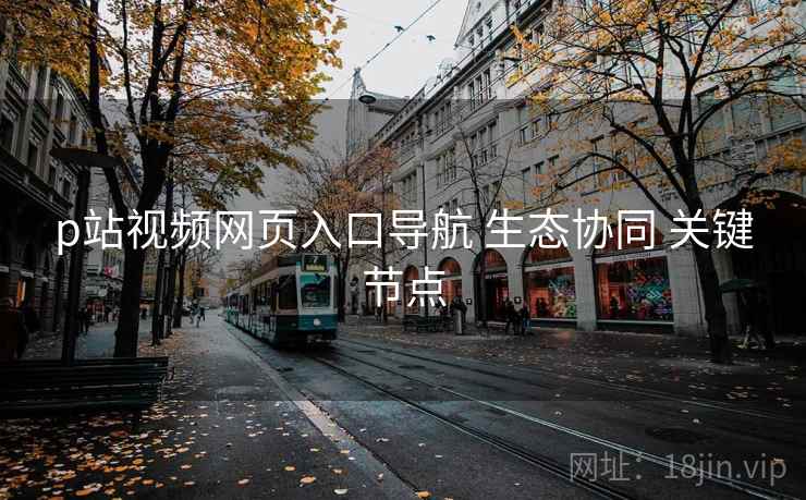 p站视频网页入口导航 生态协同 关键节点  第1张