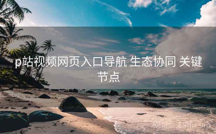 p站视频网页入口导航 生态协同 关键节点  第2张