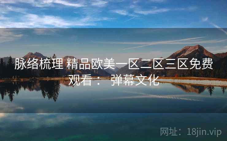 脉络梳理 精品欧美一区二区三区免费观看 ： 弹幕文化  第2张