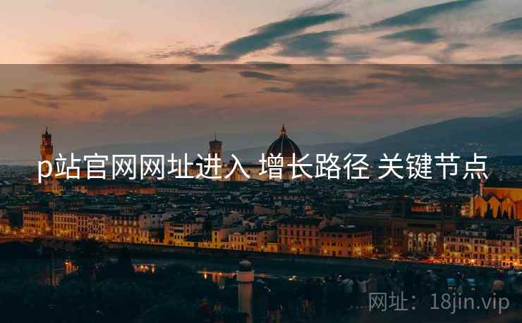 p站官网网址进入 增长路径 关键节点  第2张
