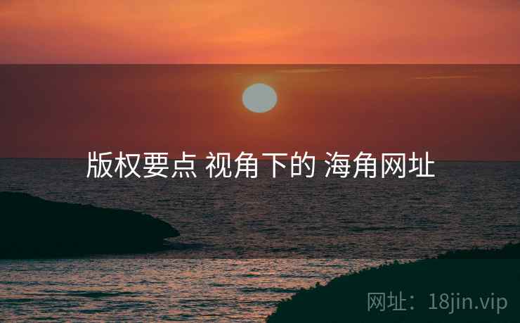 版权要点 视角下的 海角网址  第1张