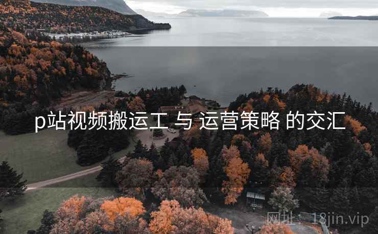 p站视频搬运工 与 运营策略 的交汇  第1张