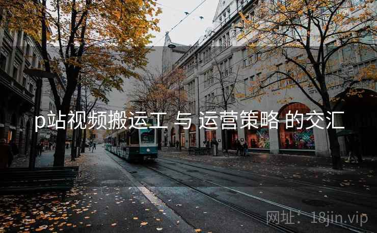 p站视频搬运工 与 运营策略 的交汇  第2张