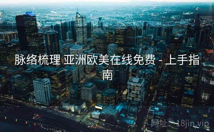 脉络梳理 亚洲欧美在线免费 - 上手指南  第2张
