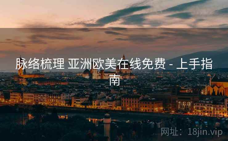 脉络梳理 亚洲欧美在线免费 - 上手指南  第1张