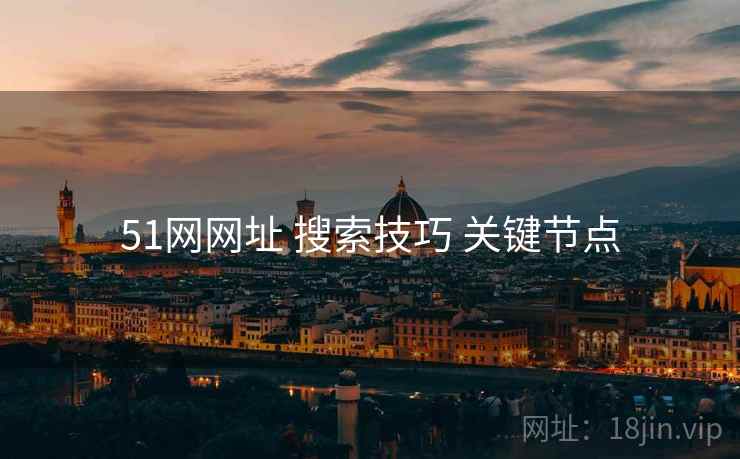 51网网址 搜索技巧 关键节点  第2张