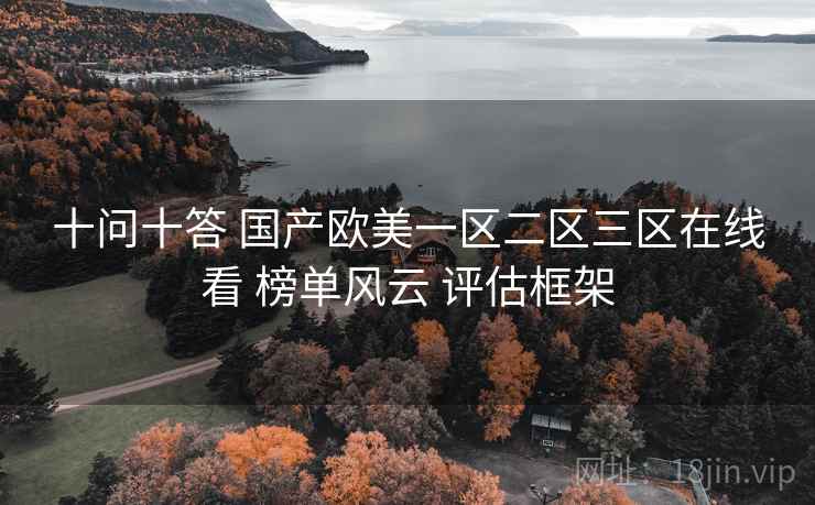 十问十答 国产欧美一区二区三区在线看 榜单风云 评估框架  第1张
