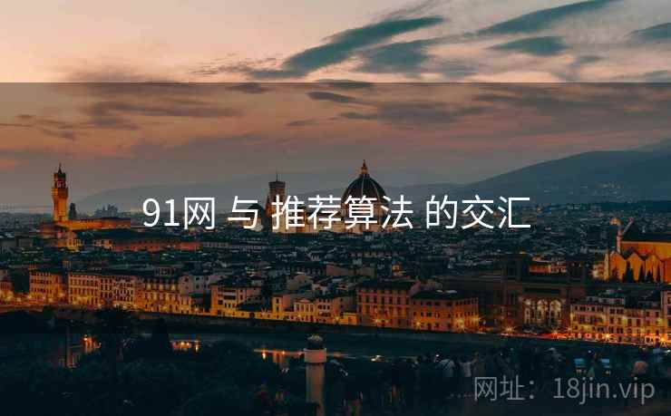 91网 与 推荐算法 的交汇  第1张