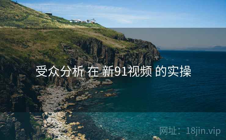 受众分析 在 新91视频 的实操  第1张