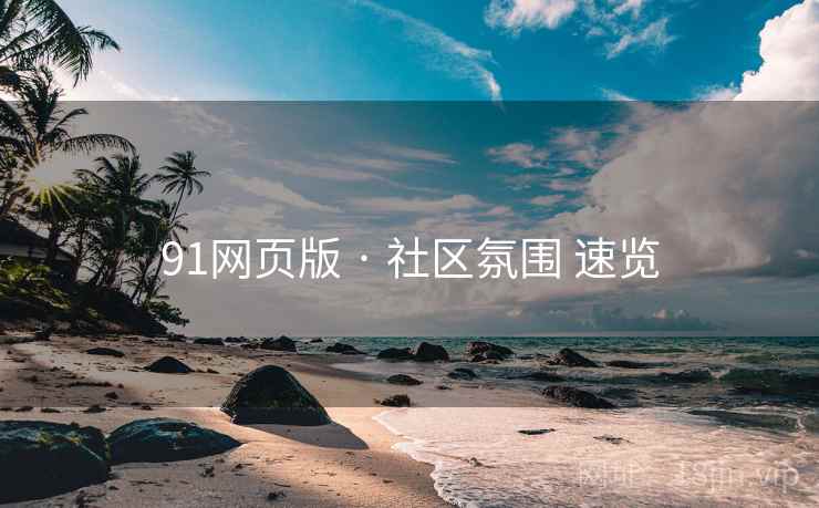 91网页版 · 社区氛围 速览  第1张