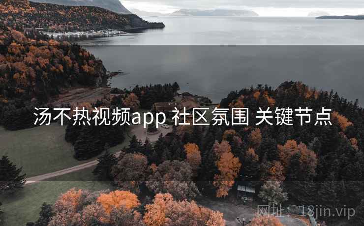 汤不热视频app 社区氛围 关键节点  第2张