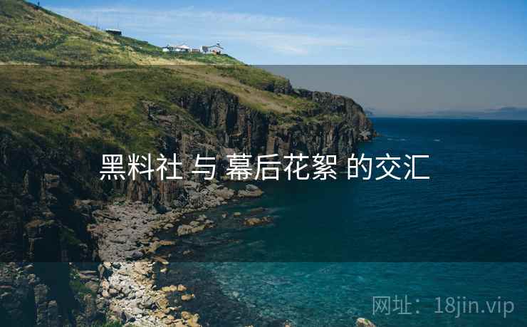 黑料社 与 幕后花絮 的交汇  第2张
