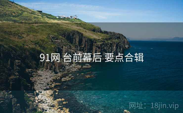 91网 台前幕后 要点合辑  第1张