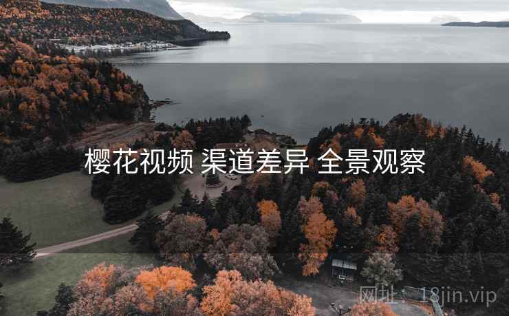 樱花视频 渠道差异 全景观察  第1张