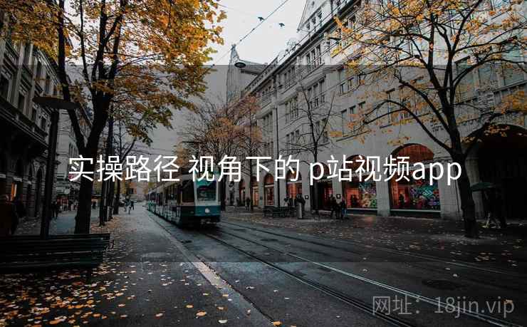 实操路径 视角下的 p站视频app  第2张