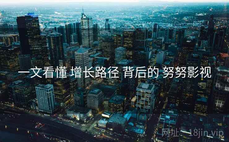 一文看懂 增长路径 背后的 努努影视  第1张