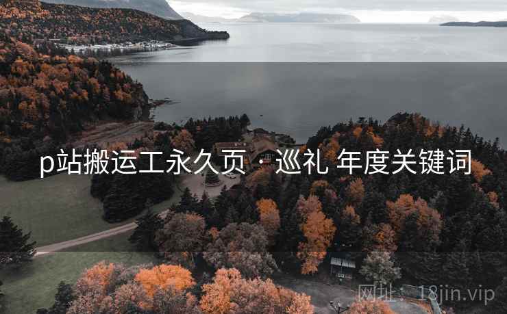 p站搬运工永久页 · 巡礼 年度关键词  第2张