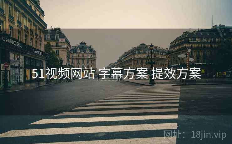51视频网站 字幕方案 提效方案  第2张