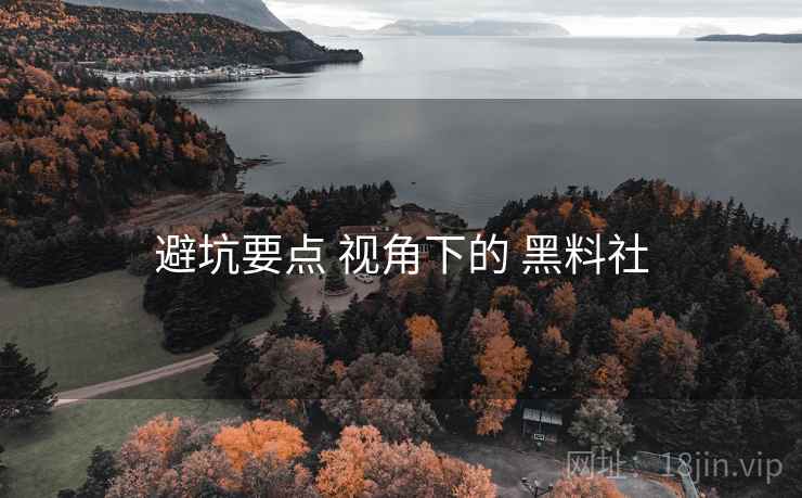 避坑要点 视角下的 黑料社  第1张