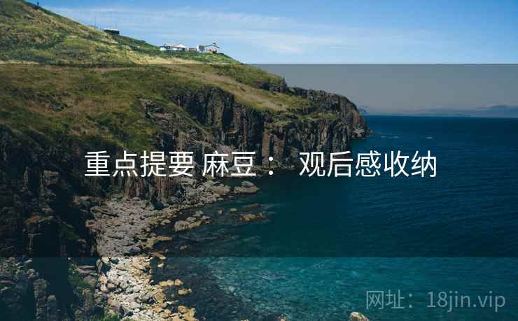 重点提要 麻豆 ： 观后感收纳  第2张