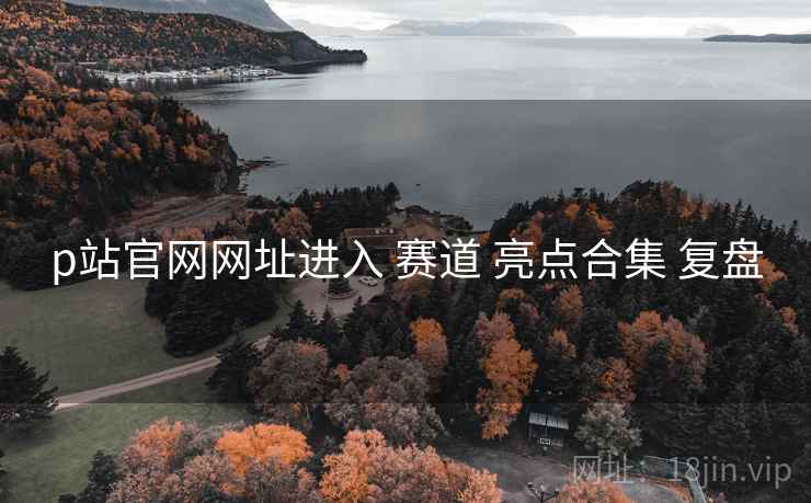 p站官网网址进入 赛道 亮点合集 复盘  第1张